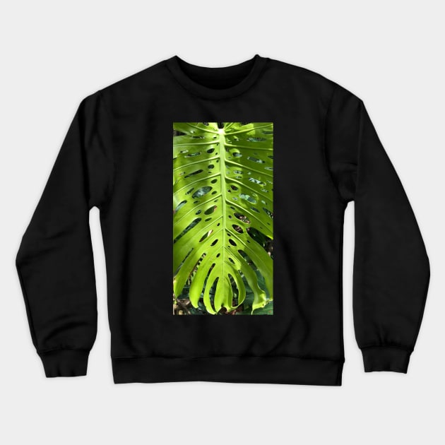 Holy Green Leaf of Nature Crewneck Sweatshirt by Photomersion